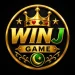 JWIN Game