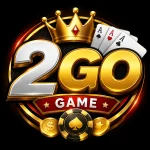 2GO Game