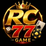 RC 77 Game