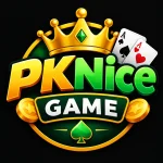 Pknice Game